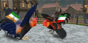 Choosing The Right Gamefowl For Fighting Accurately Now