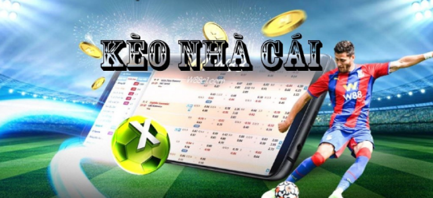How Bookmaker Odds Shape the Sports Betting Market