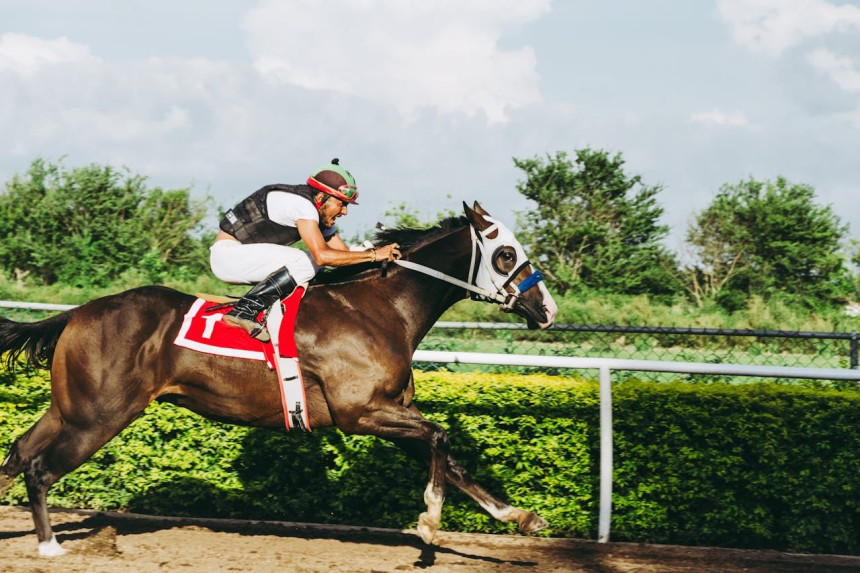 Kentucky Derby Favorites: Who Is Leading The Odds?