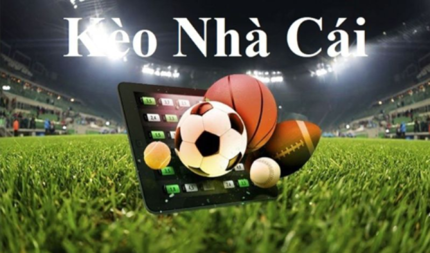 Chokeo.me – Khám phá địa chỉ chơi cược kèo nhà cái hiệu quả